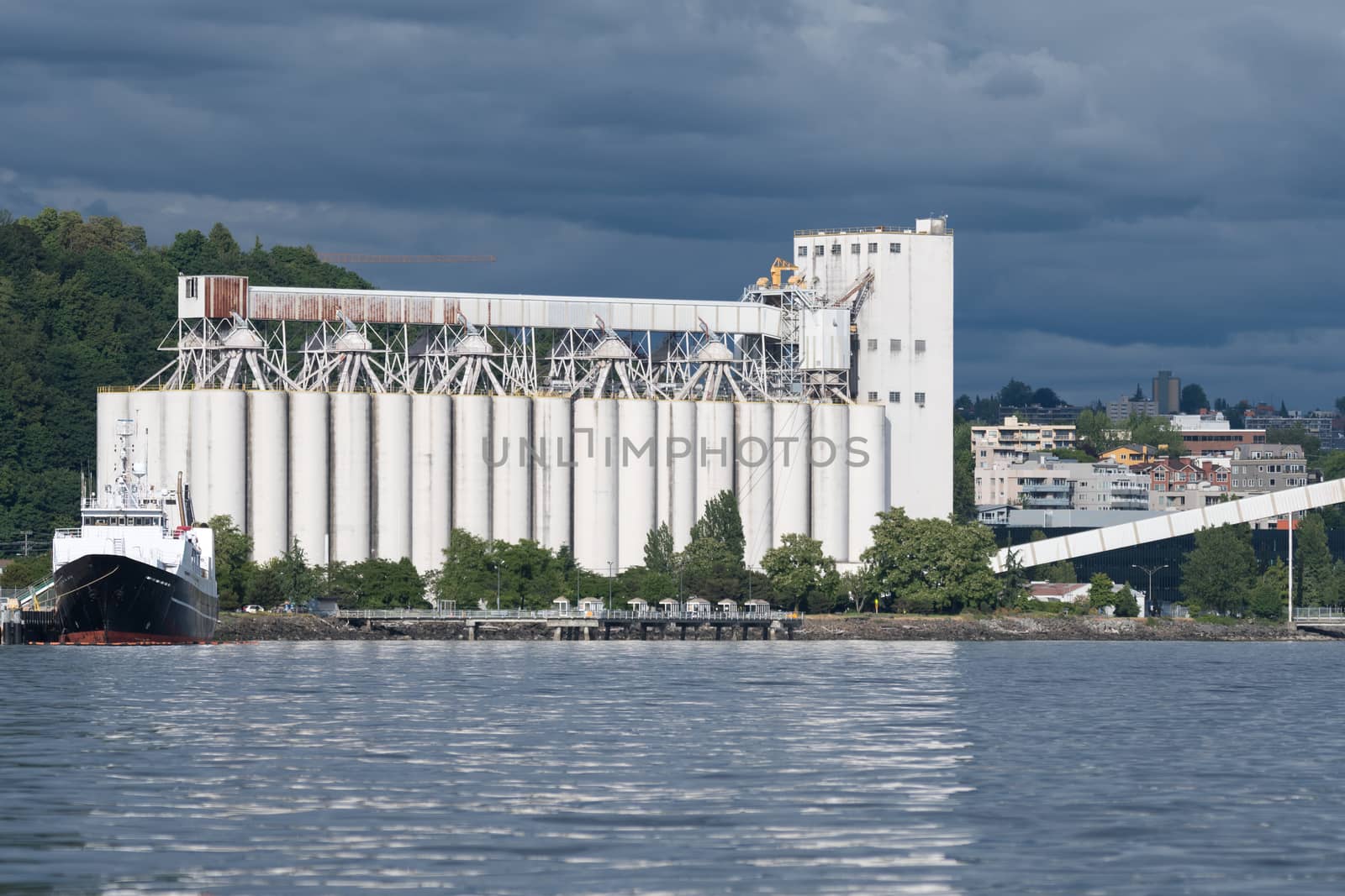 At the north end of Seattle's waterfront, the grain terminal is temporary home to many bulk carriers each year.