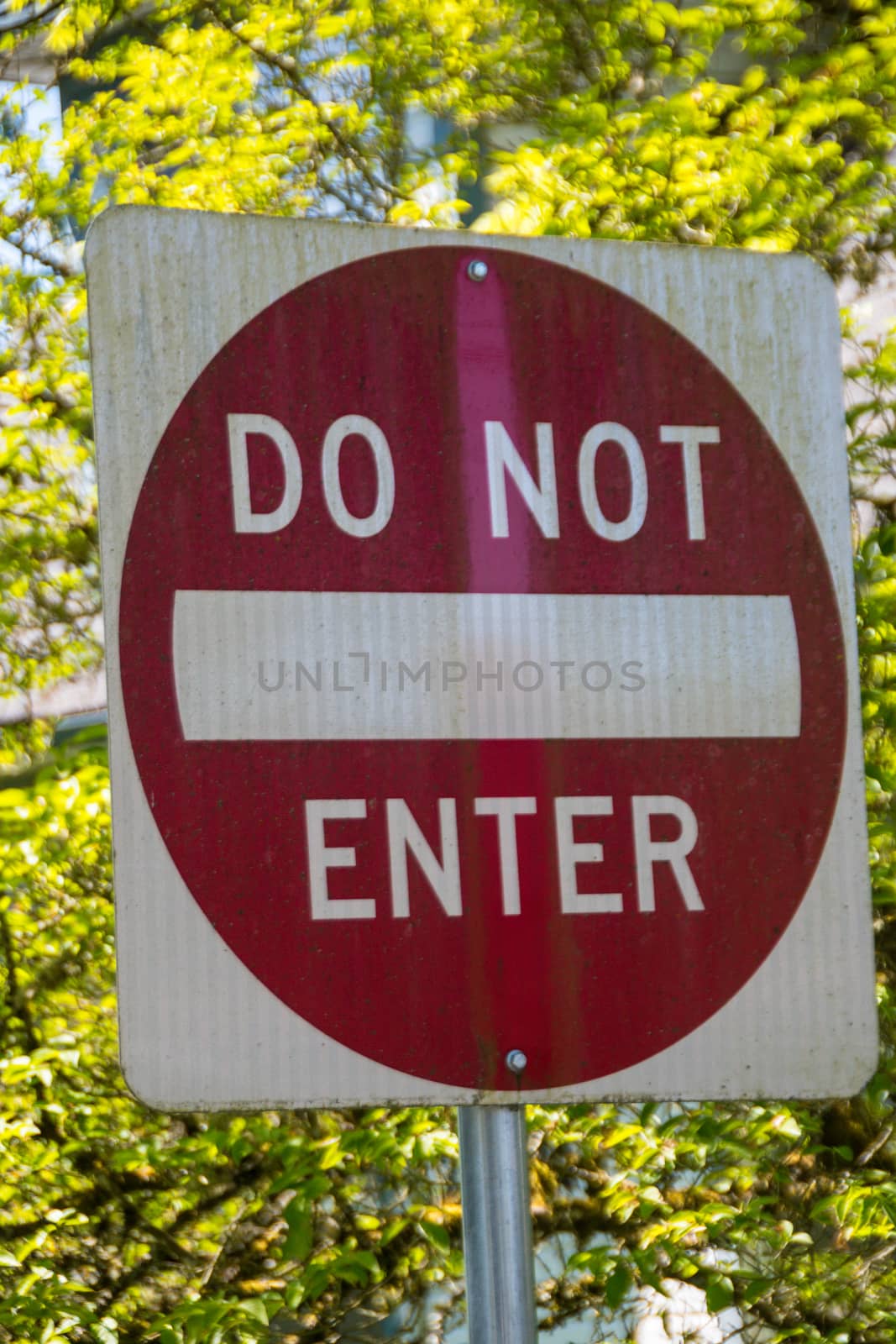 Traffic sign in small town, Washington State.