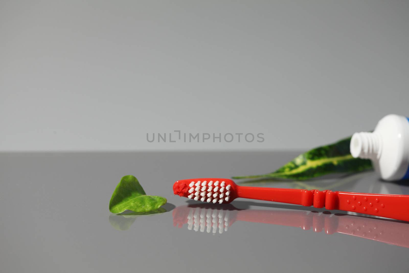 Toothbrush tube of toothpaste with green leaves by mrivserg