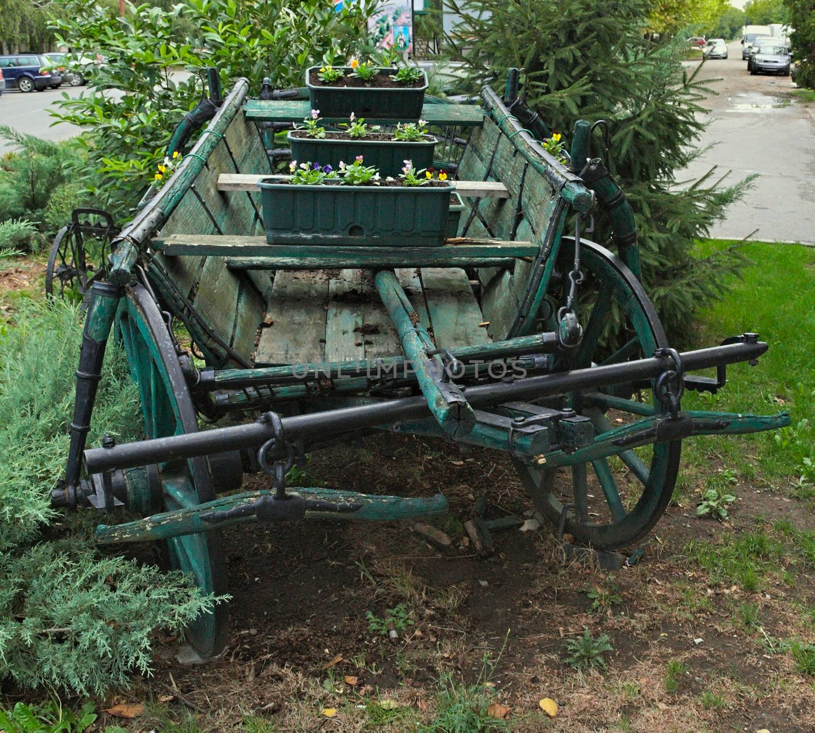 Old wooden horse carriage, decorated with flowerpots by sheriffkule