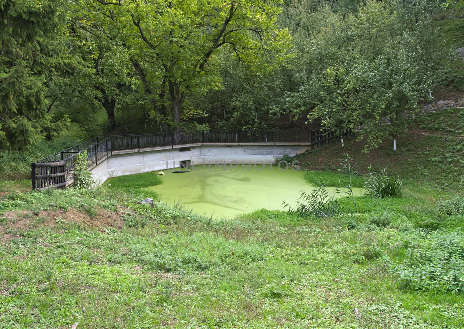 Small dam and bog in park surrounded by trees by sheriffkule