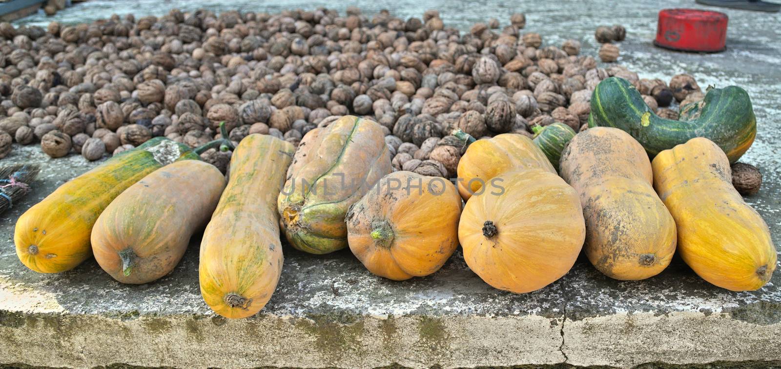 Autumn harvest of pumpkins and walnuts