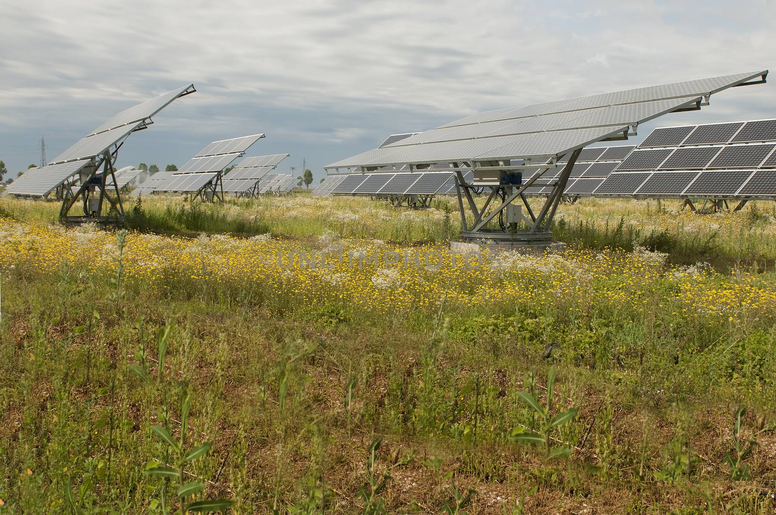 a park for the production of electricity with solar panels