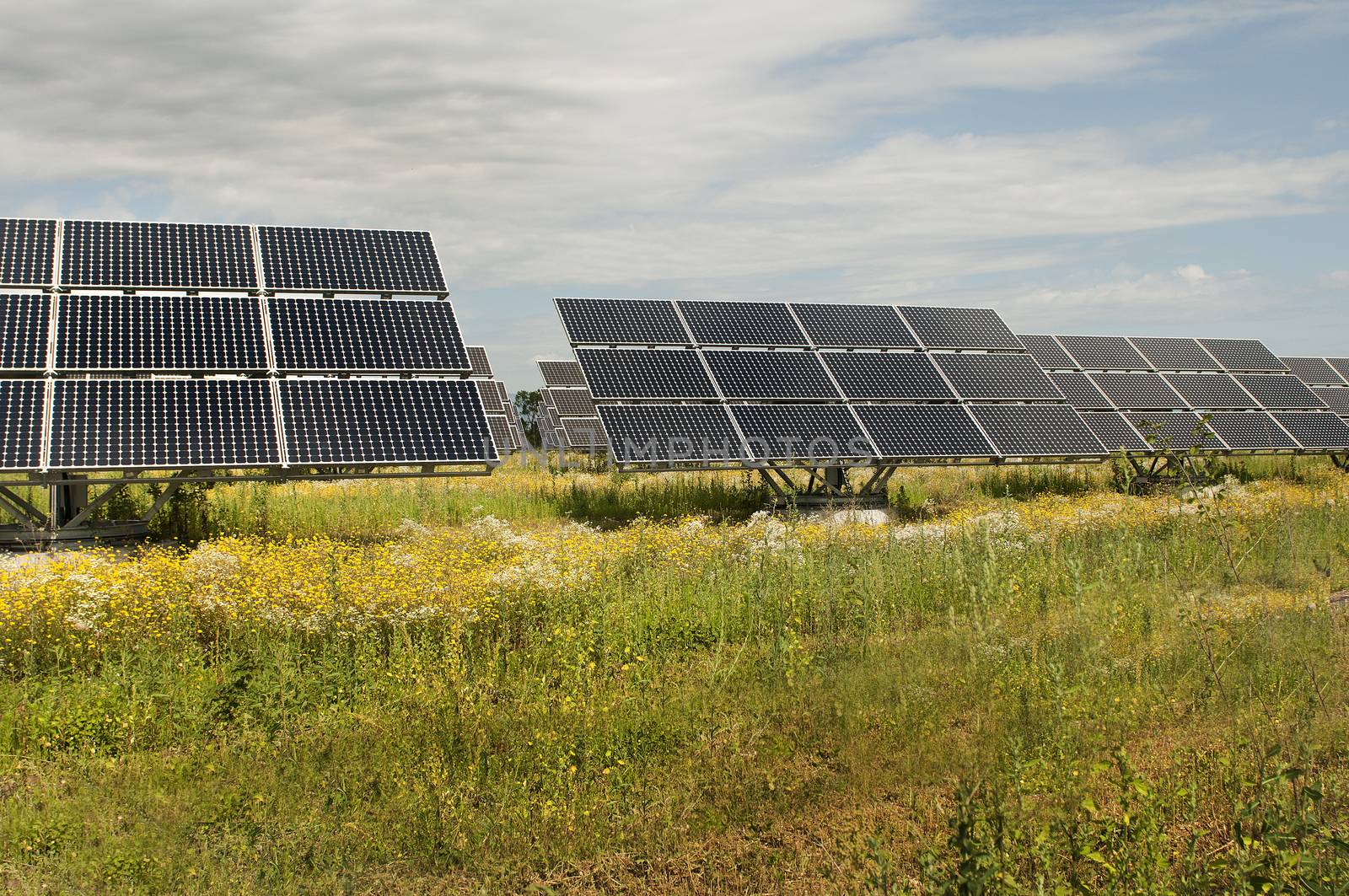 solar panels by sergiodv