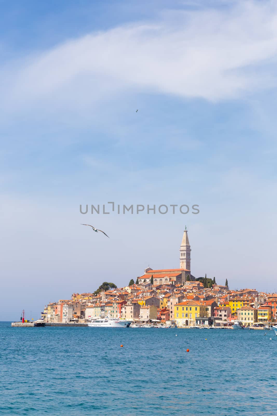 Panoramic view on old town Rovinj from harbor. Istria peninsula, Croatia. Copy space on the sky.
