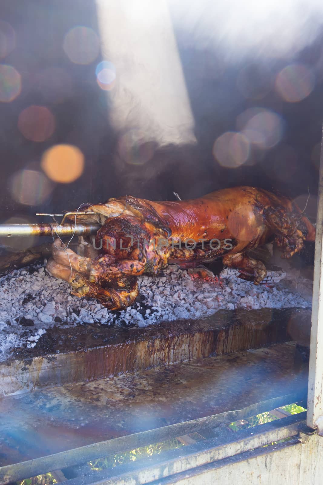 Traditional balkan dish - whole piglet grilled on the open fire. by kasto