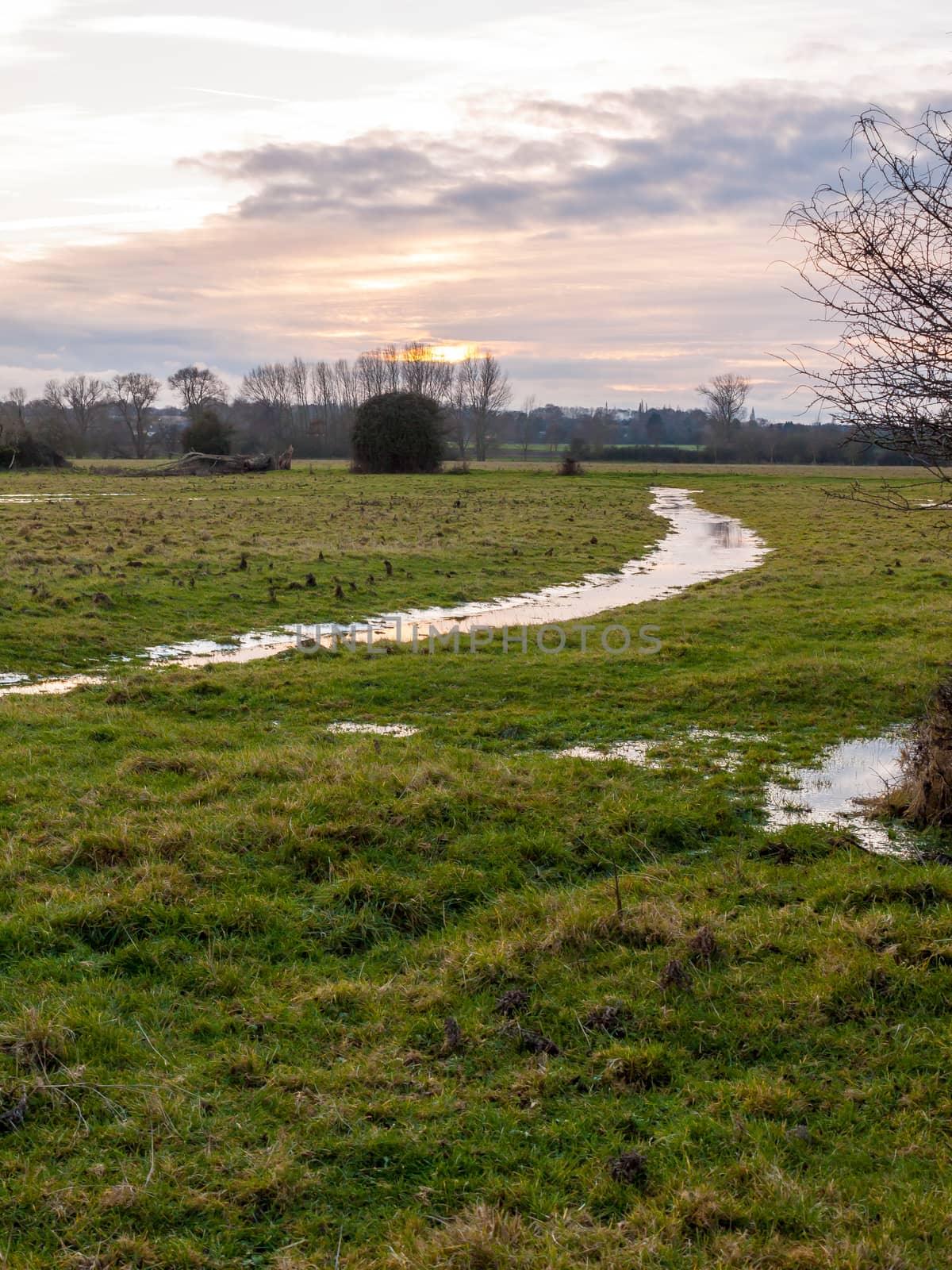 empty wet grass field low light sunset landscape dedham plain empty no people dramatic sky; essex; england; uk
