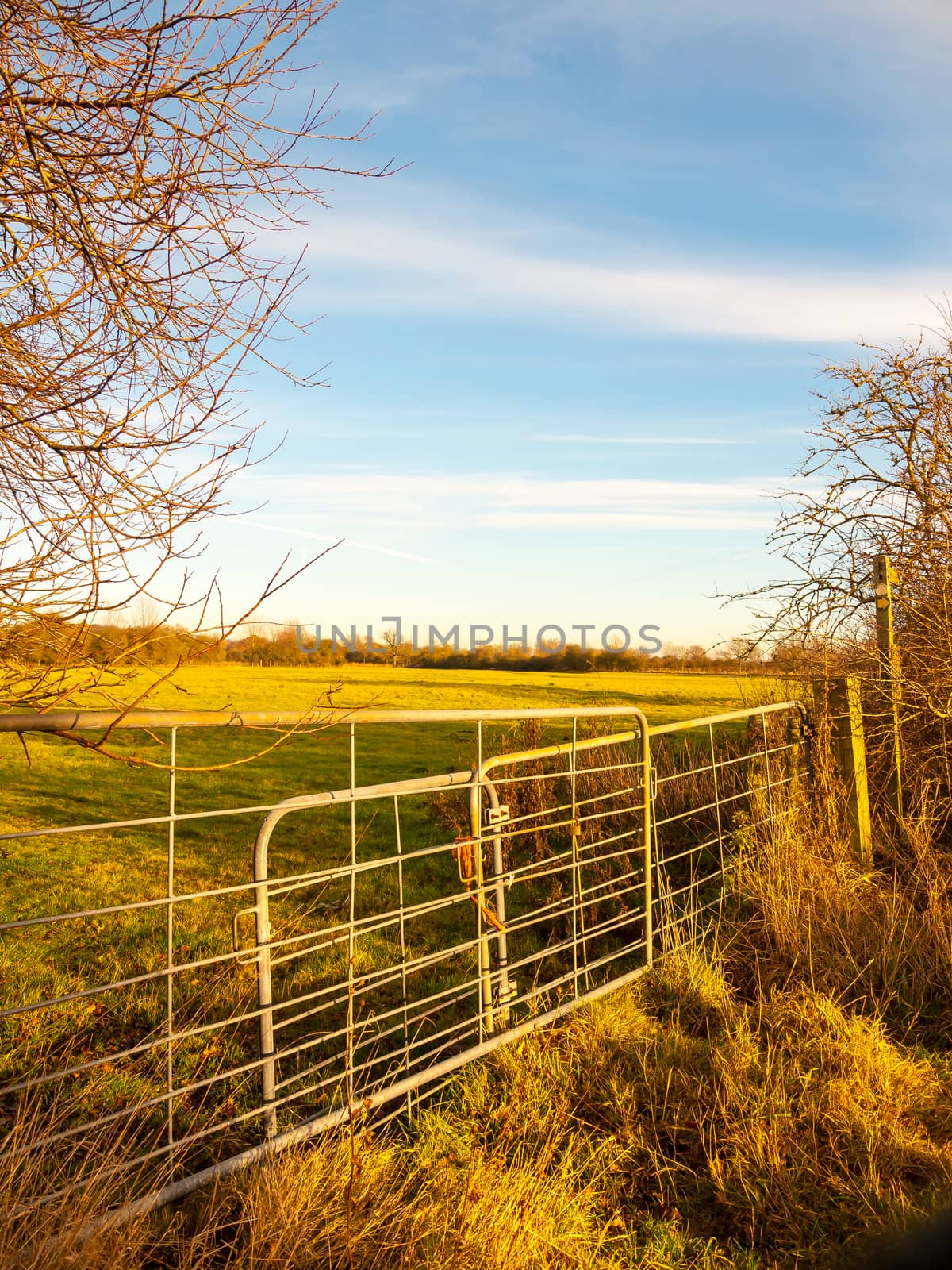 farmland metal farm gate field closed locked agriculture nature landscape confined; essex; england; uk
