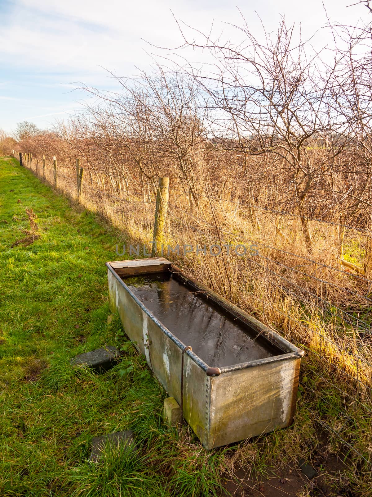 country feeding water trough cold wet farming agriculture by callumrc