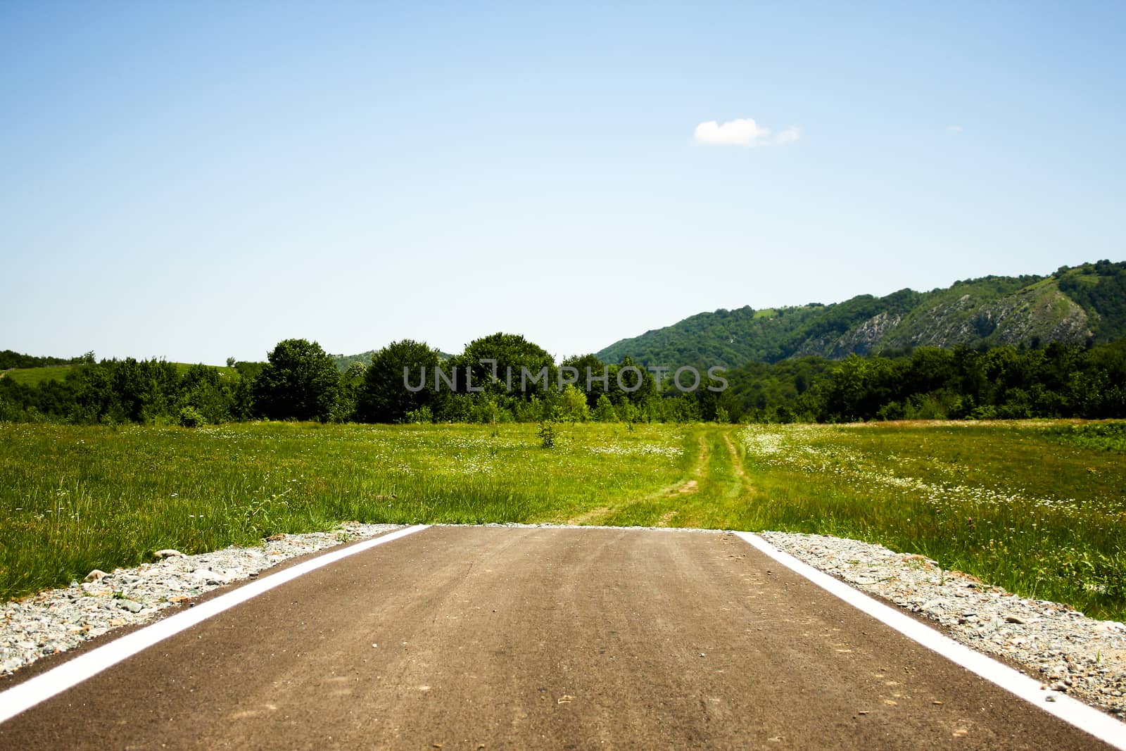 Paved road ending abruptly in the middle of a green plain with some trails ahead
