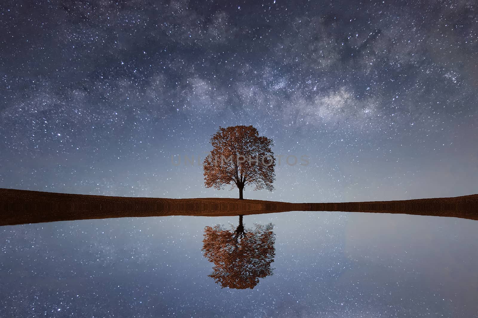 Milky Way over a lonely single tree