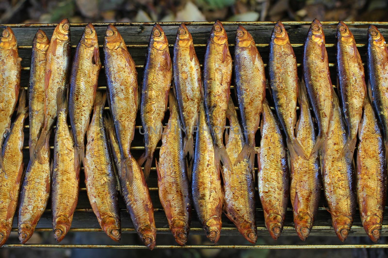 Hot smoked whitefish on the grill by mrivserg