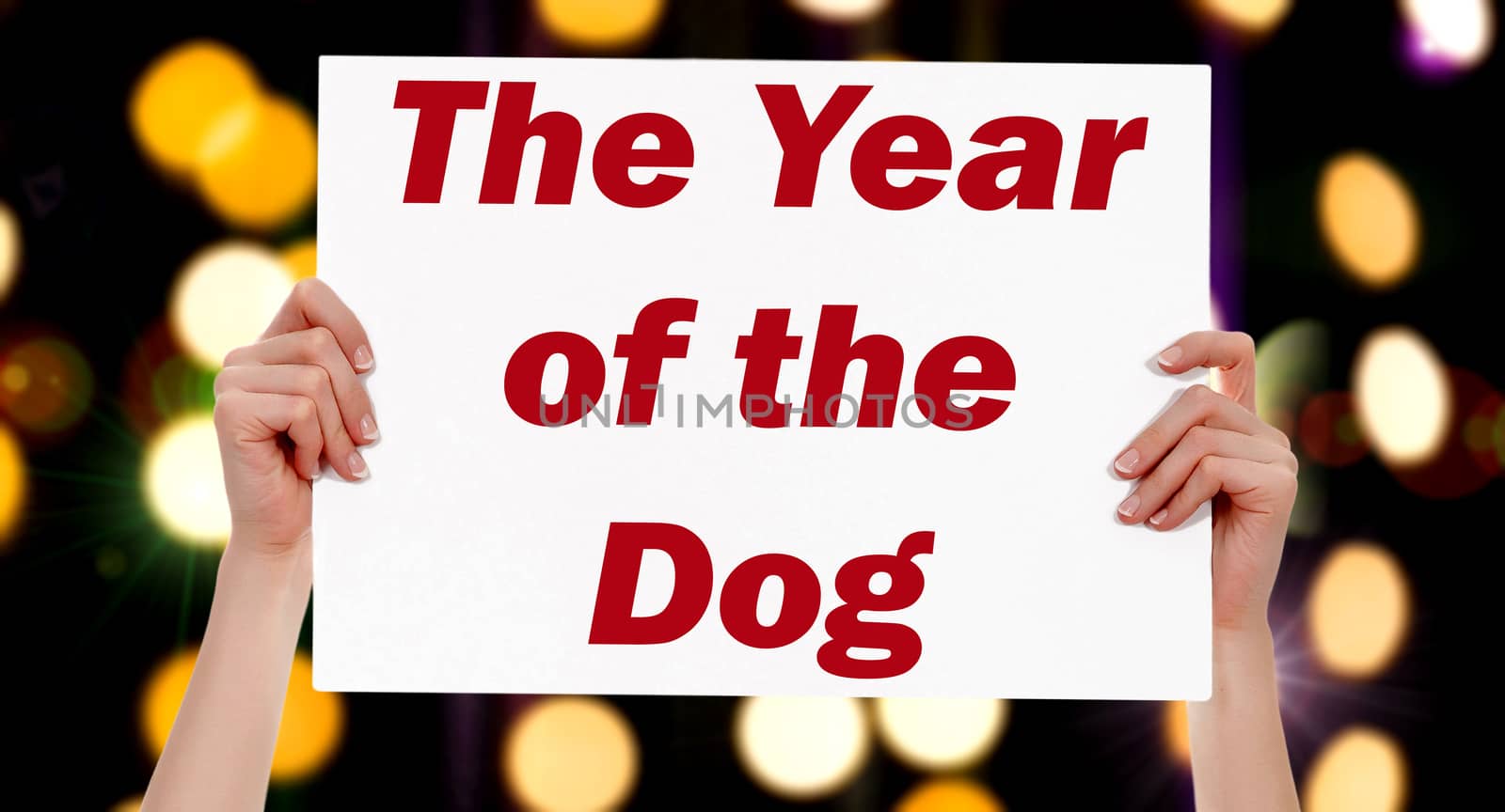 The Year of the Dog. Female hands holding a placard with abstrac by Nobilior