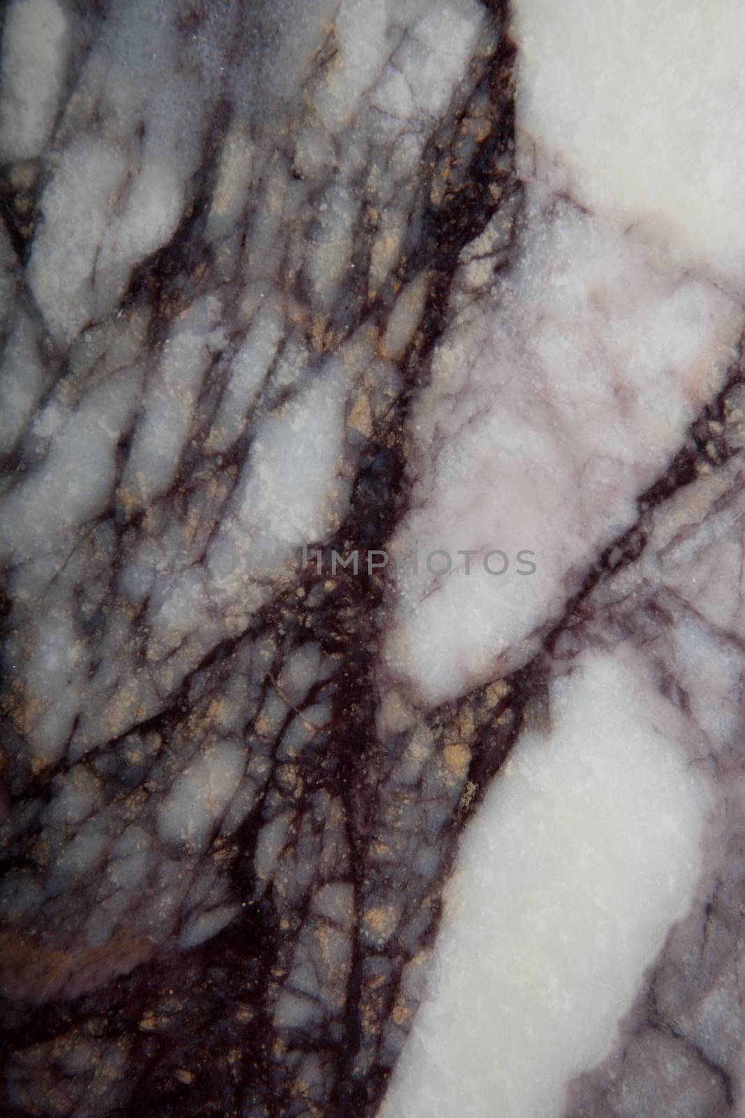 Marble natural texture studio quality