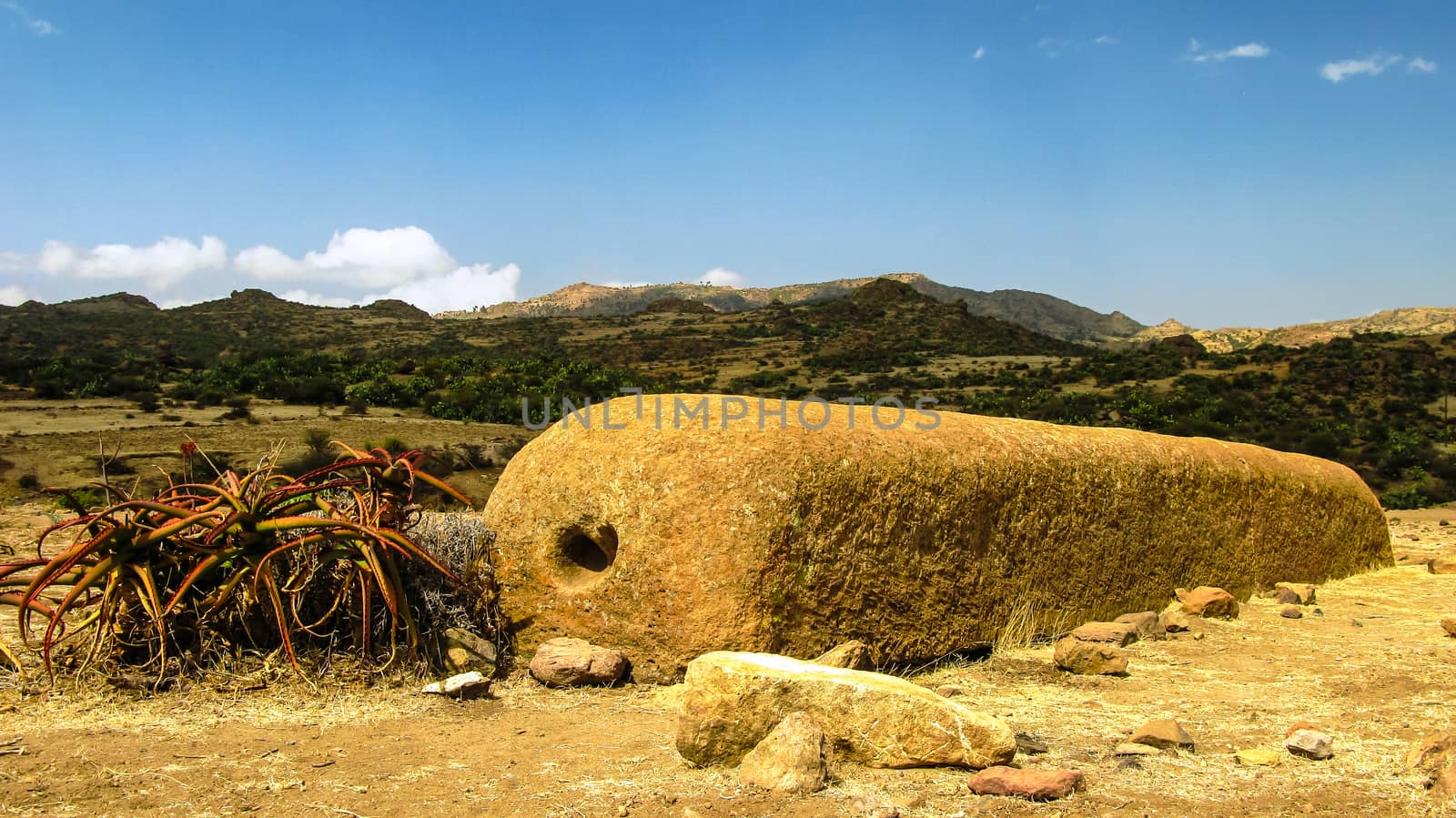 Ruins in Keskese archeological place, Eritrea by homocosmicos