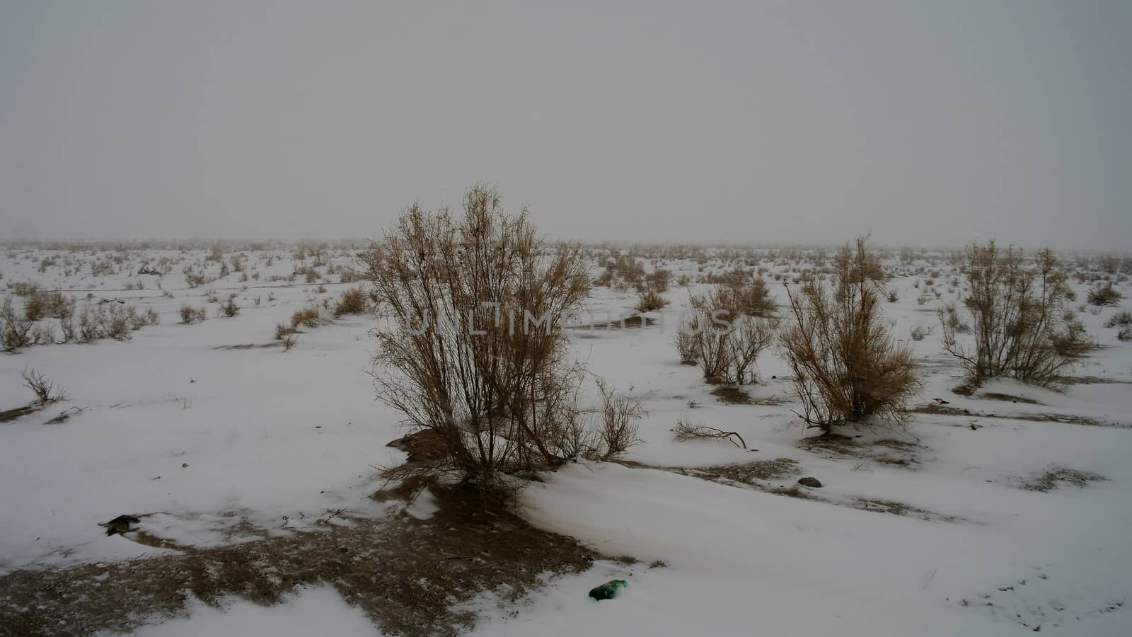 Snow in the Kyzylkum desert, Uzbekistan by homocosmicos