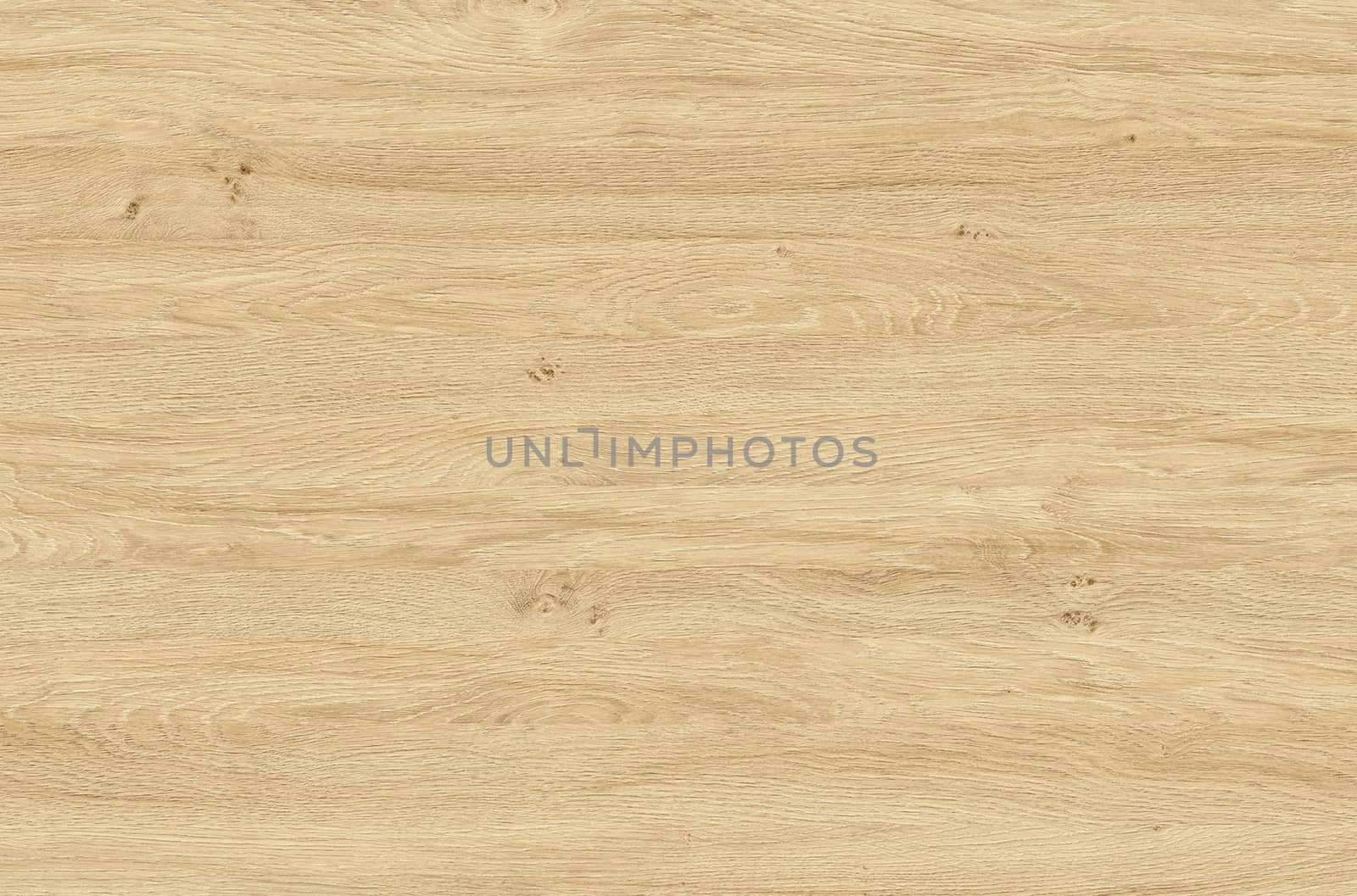 Brown wood texture. Abstract wood texture background.