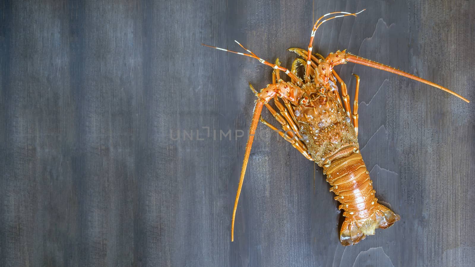 Top view of steamed lobster  on wooden background with copy space