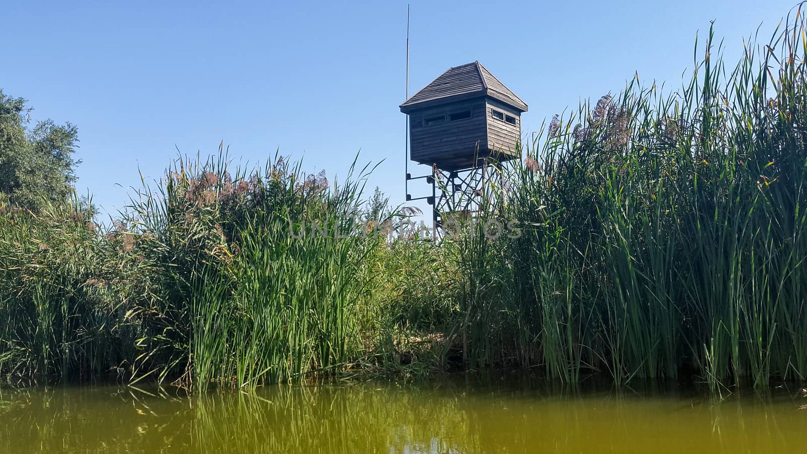 Wildlife observation tower point in the Delta, next to a small water channel, outdoor in daylight. Wooden structure on a metallic frame.