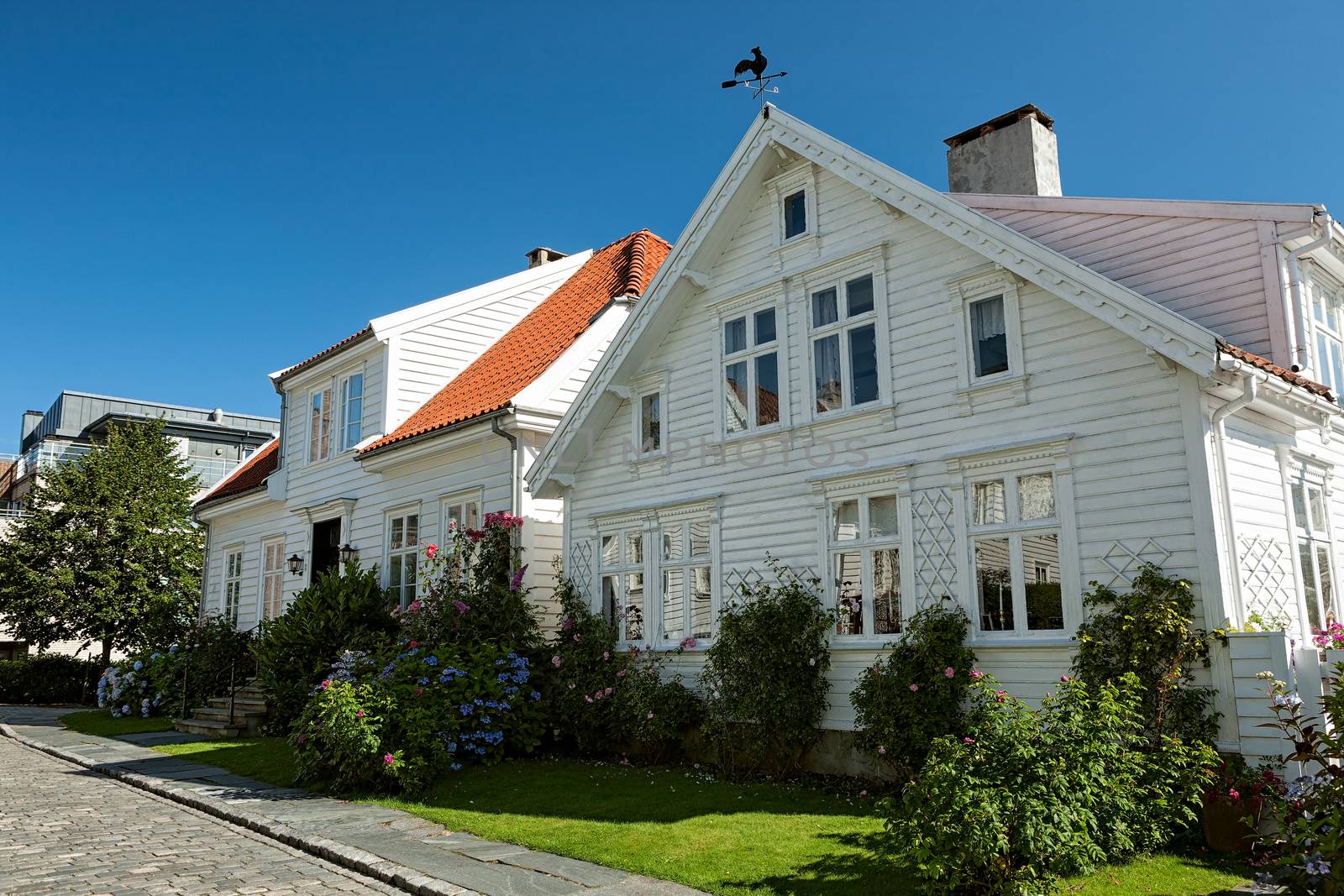 Typical houses in Stavanger, Norway by LuigiMorbidelli