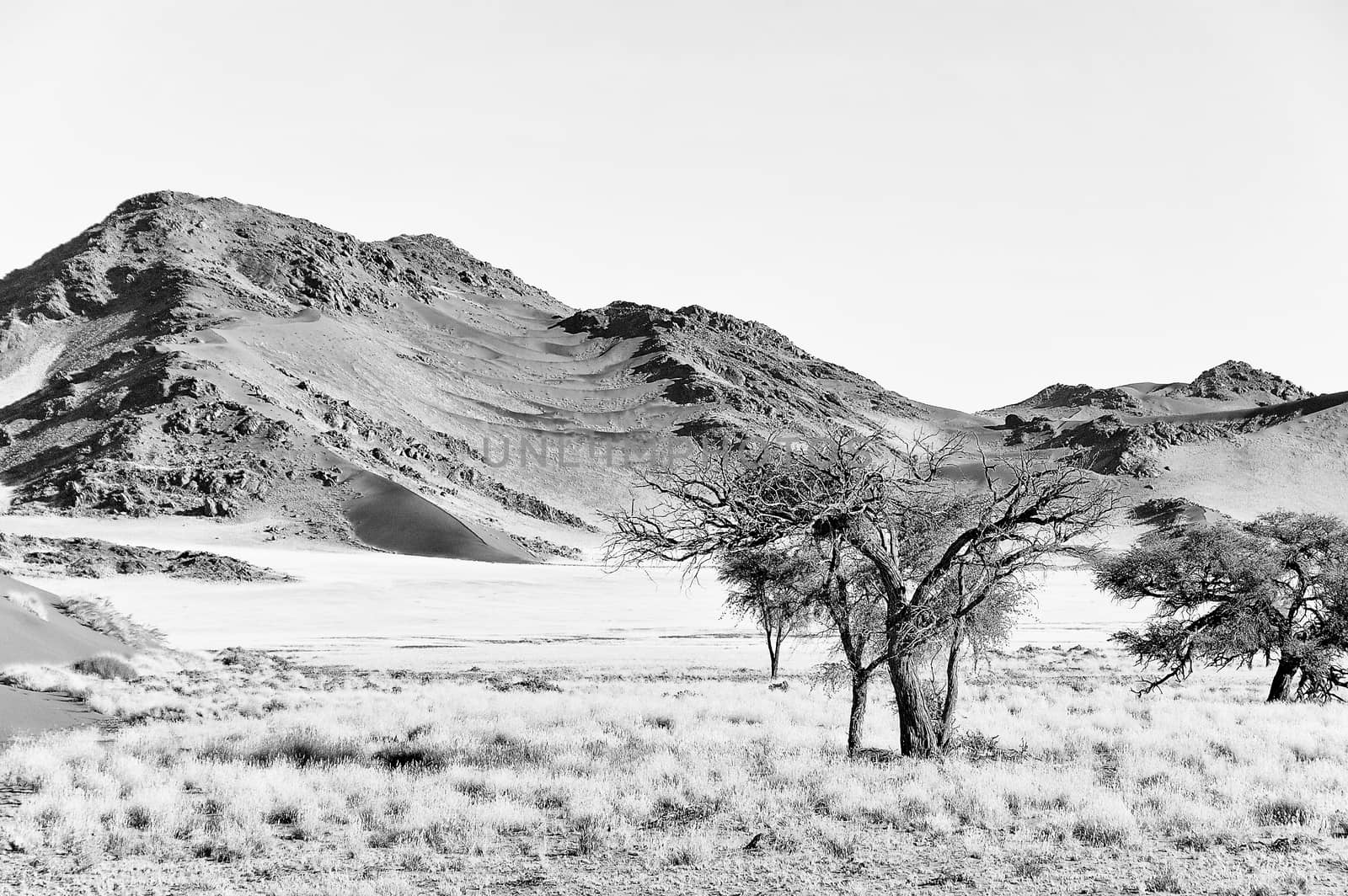 Monochrome grass, dune and mountain landscape near Sossusvlei in Namibia
