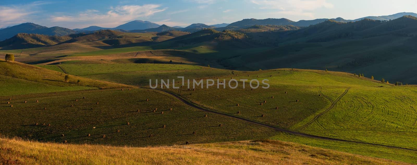 Beauty summer evening in the mountains by rusak