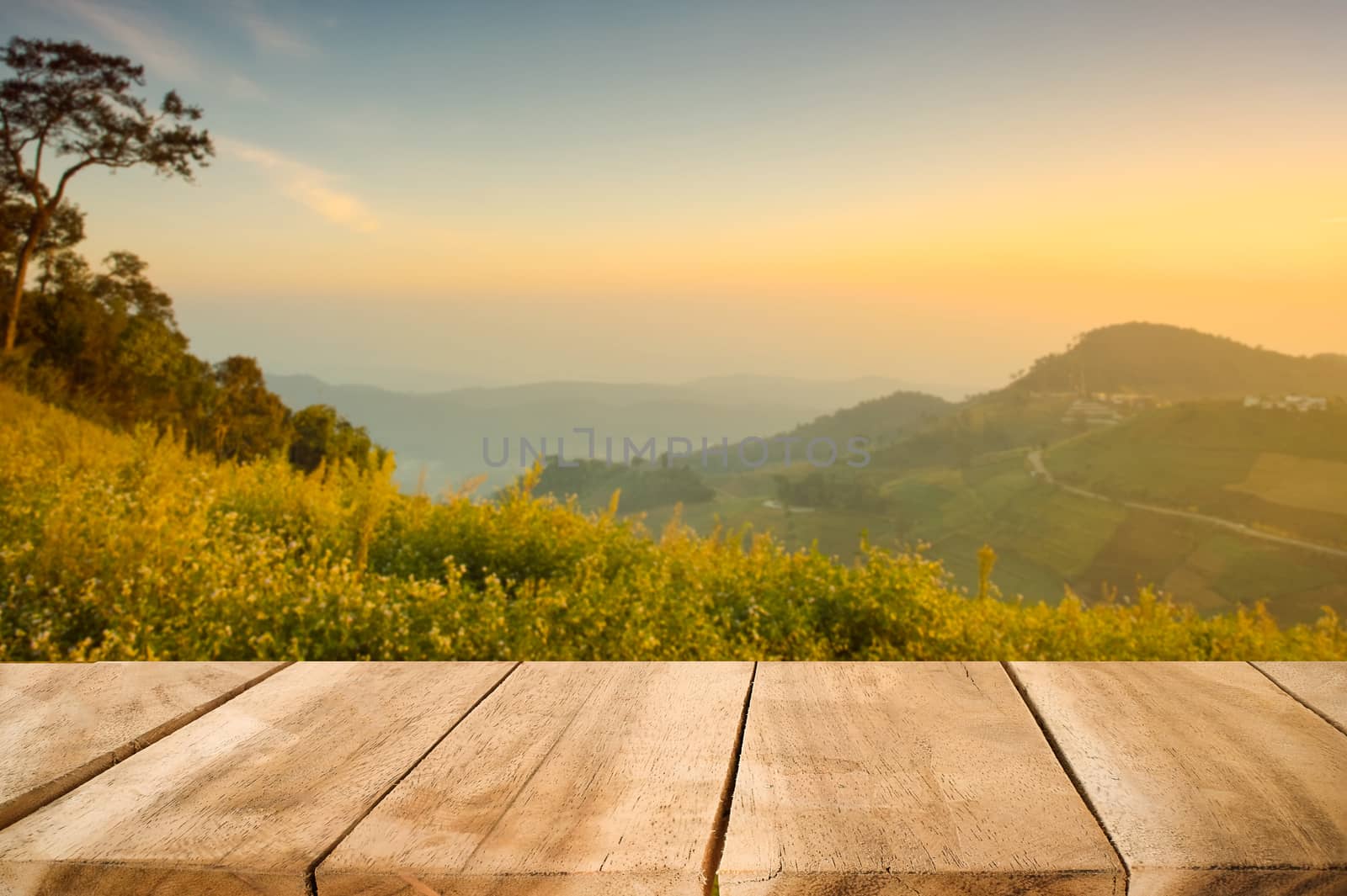 Wood desk table is empty for present a product on forest nature  by prathanchorruangsak