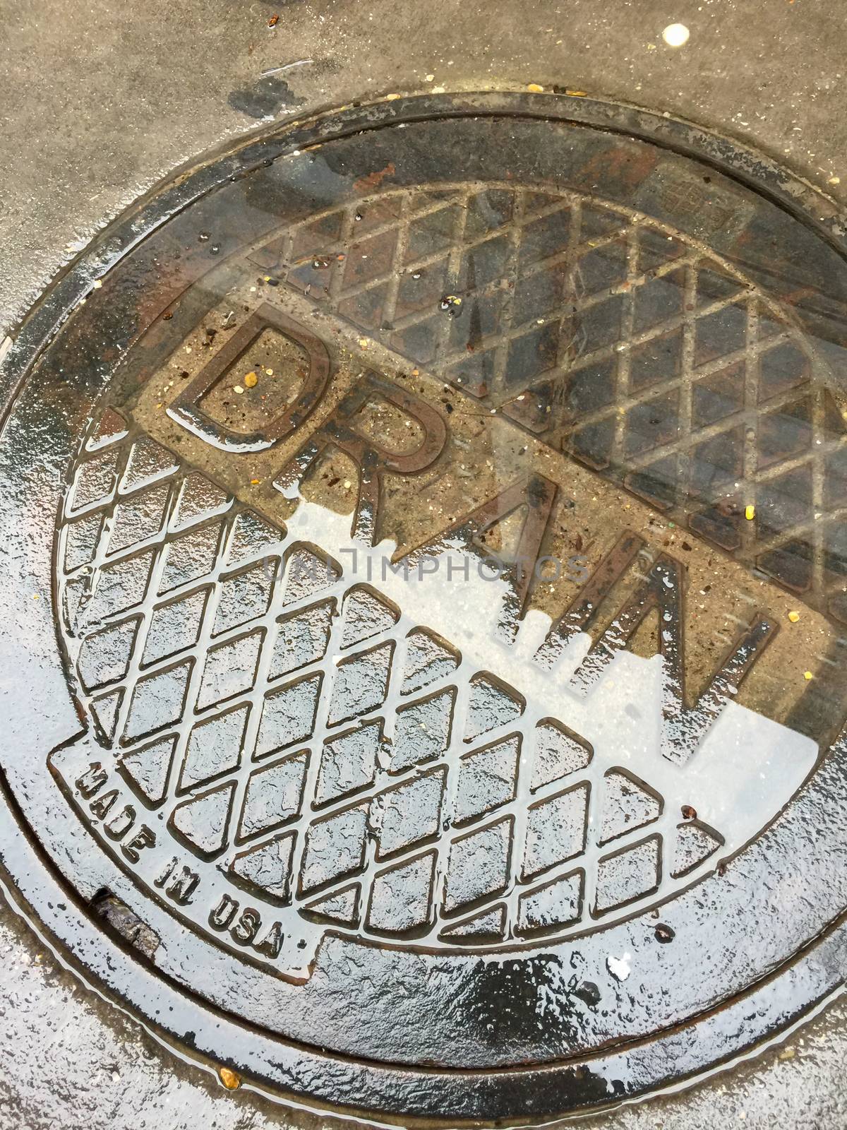Industrial Wet Street Drain Cover by Feverpitched