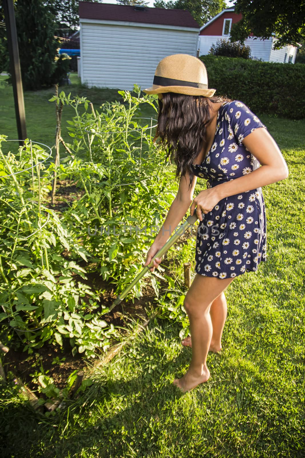 twenty something woman standing outside in the sun, wearing a sun dress and a straw hat, working her garden with a tool