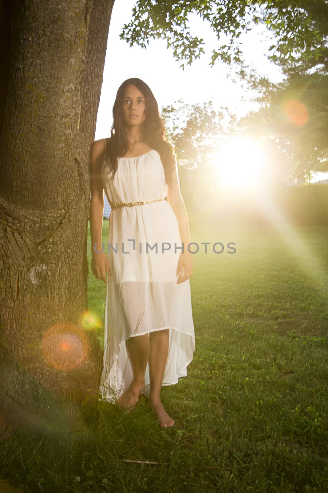 young woman wearing a white dress beside a tree with bright sunlight
