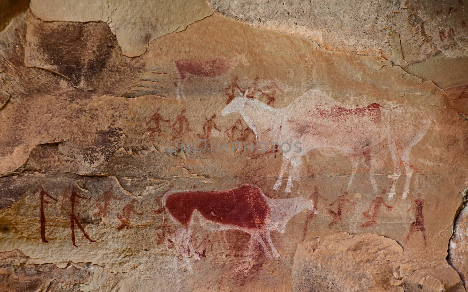 Bushman Rock Art in the "War Cave" near Injisuthi in the Drakensberg South Africa.