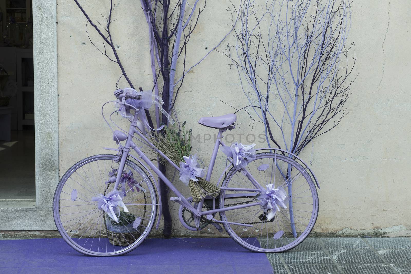 an old lilac-colored bicycle