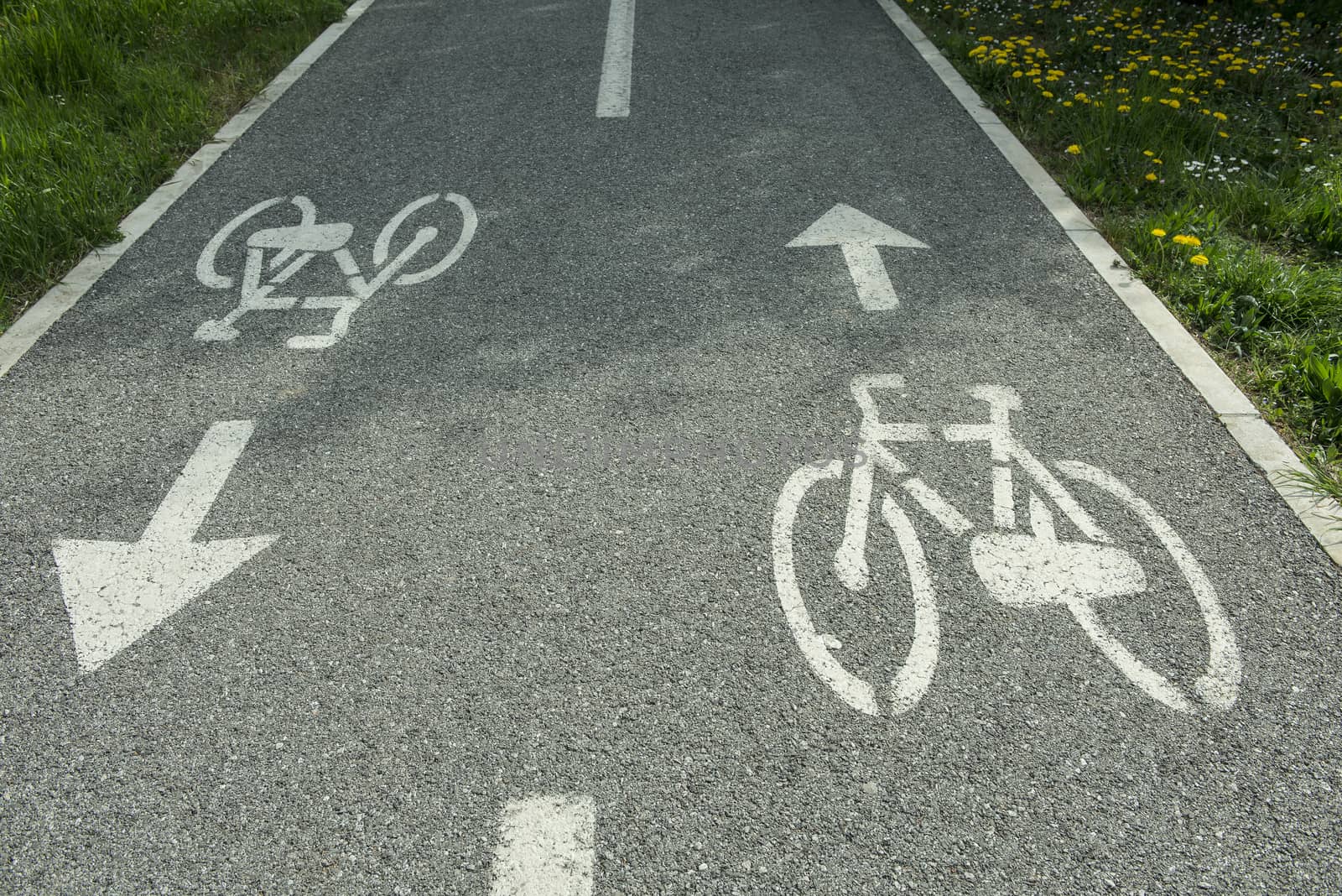 indication of a cycle track on the asphalt