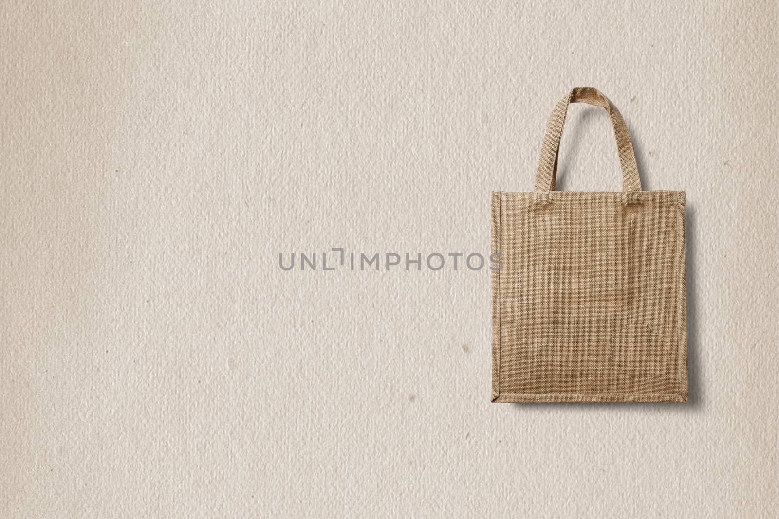 eco bag for shopping on a light background