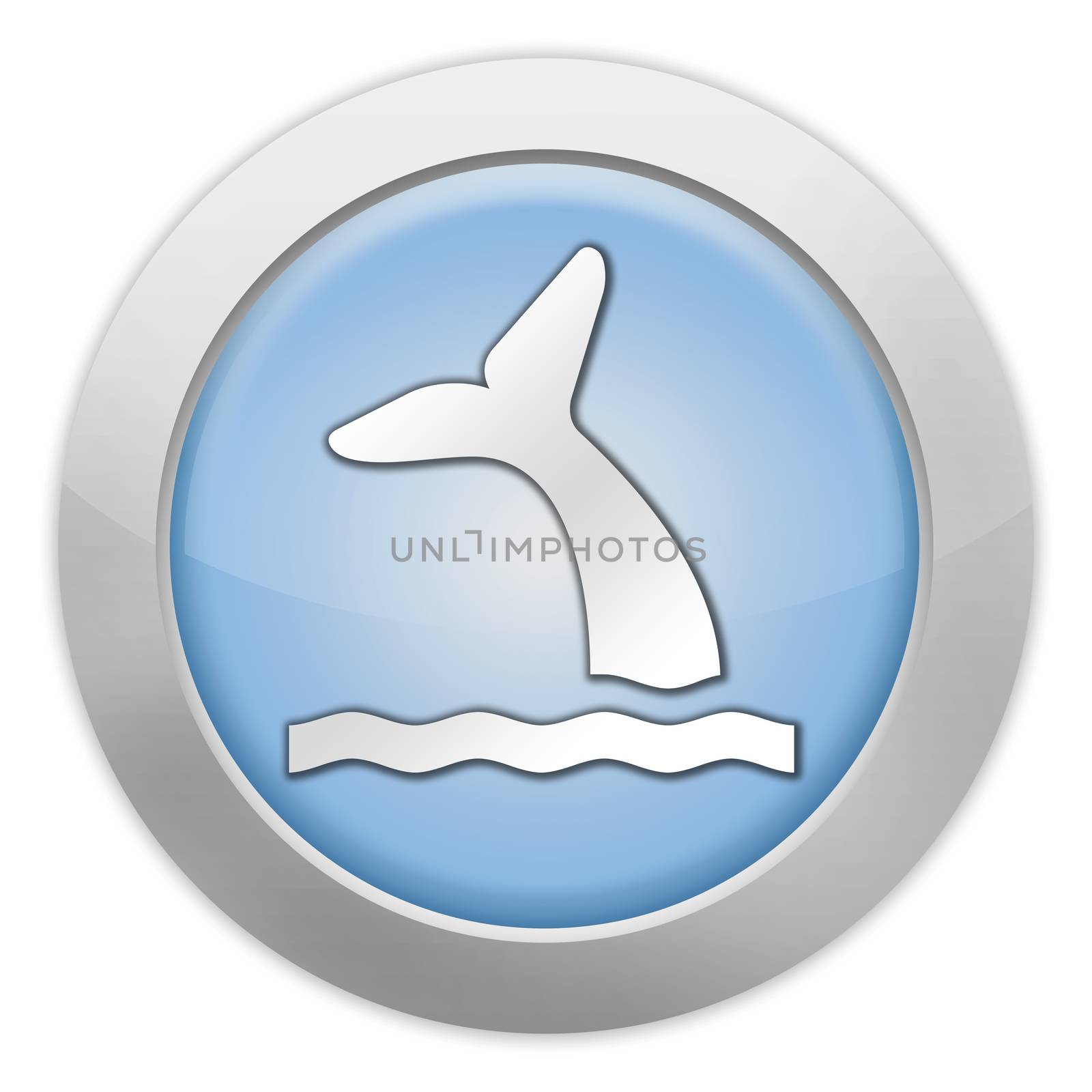 Icon, Button, Pictogram Whale by mindscanner