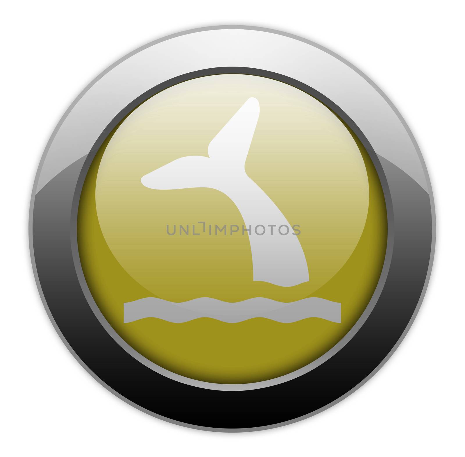Icon, Button, Pictogram with Whale symbol