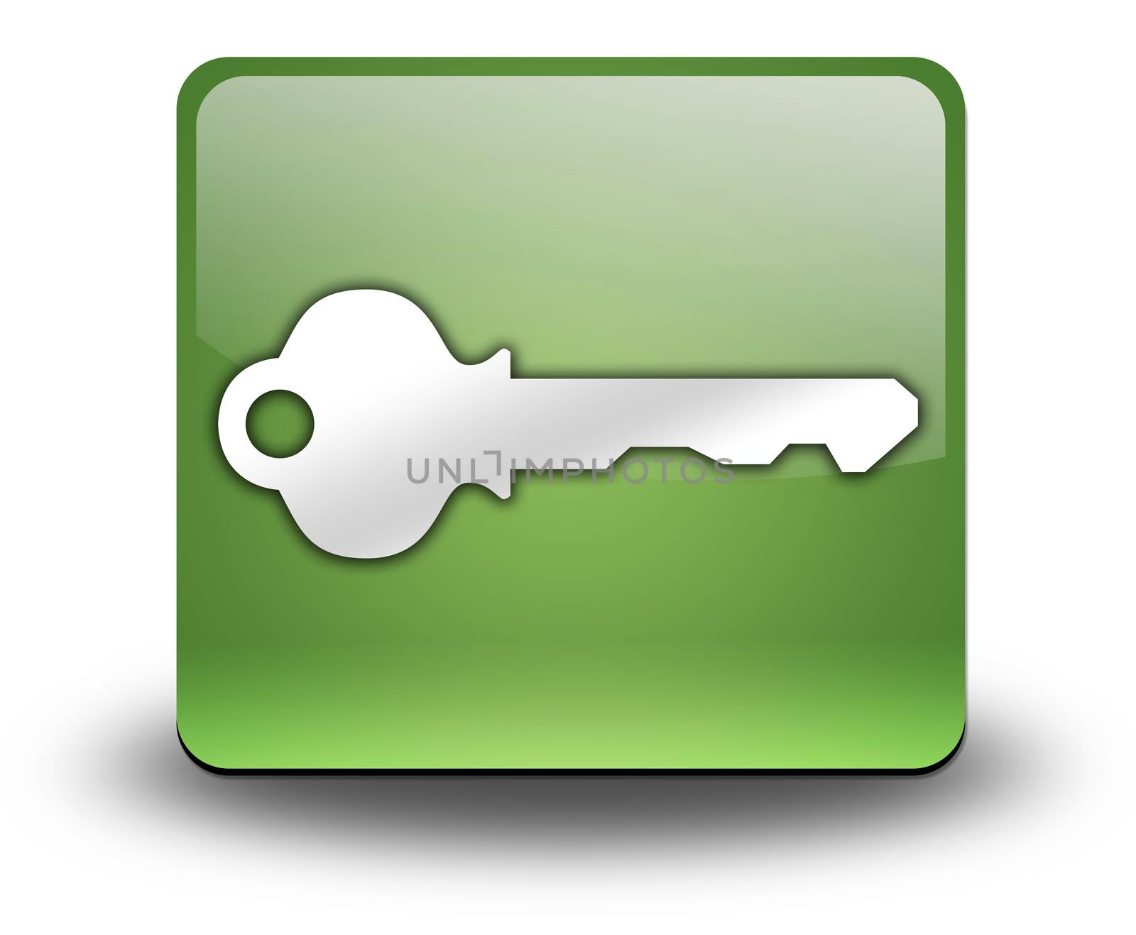 Icon, Button, Pictogram with Key symbol