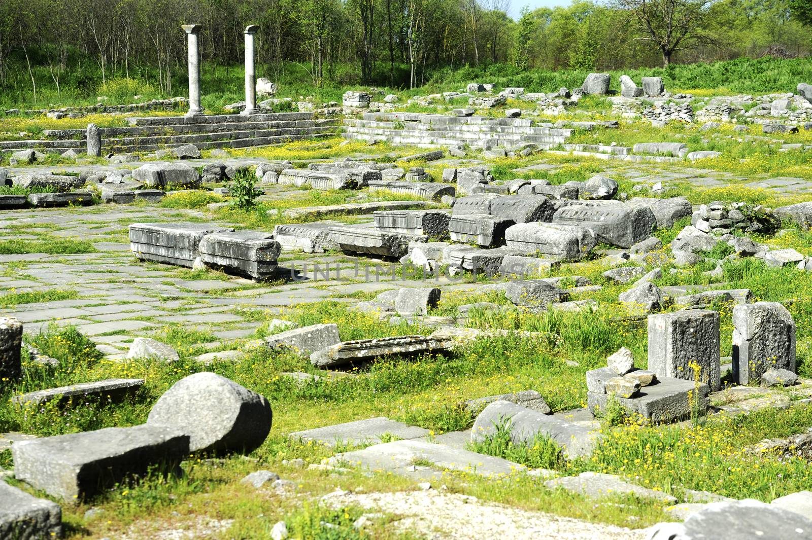 Ruins of ancient Greece near Thessaloniki in Phillipi