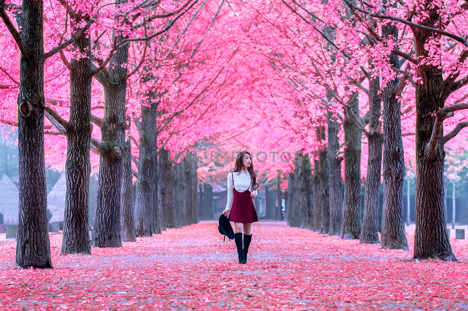 Beautiful Girl with Pink Leaves in Nami Island, South Korea.