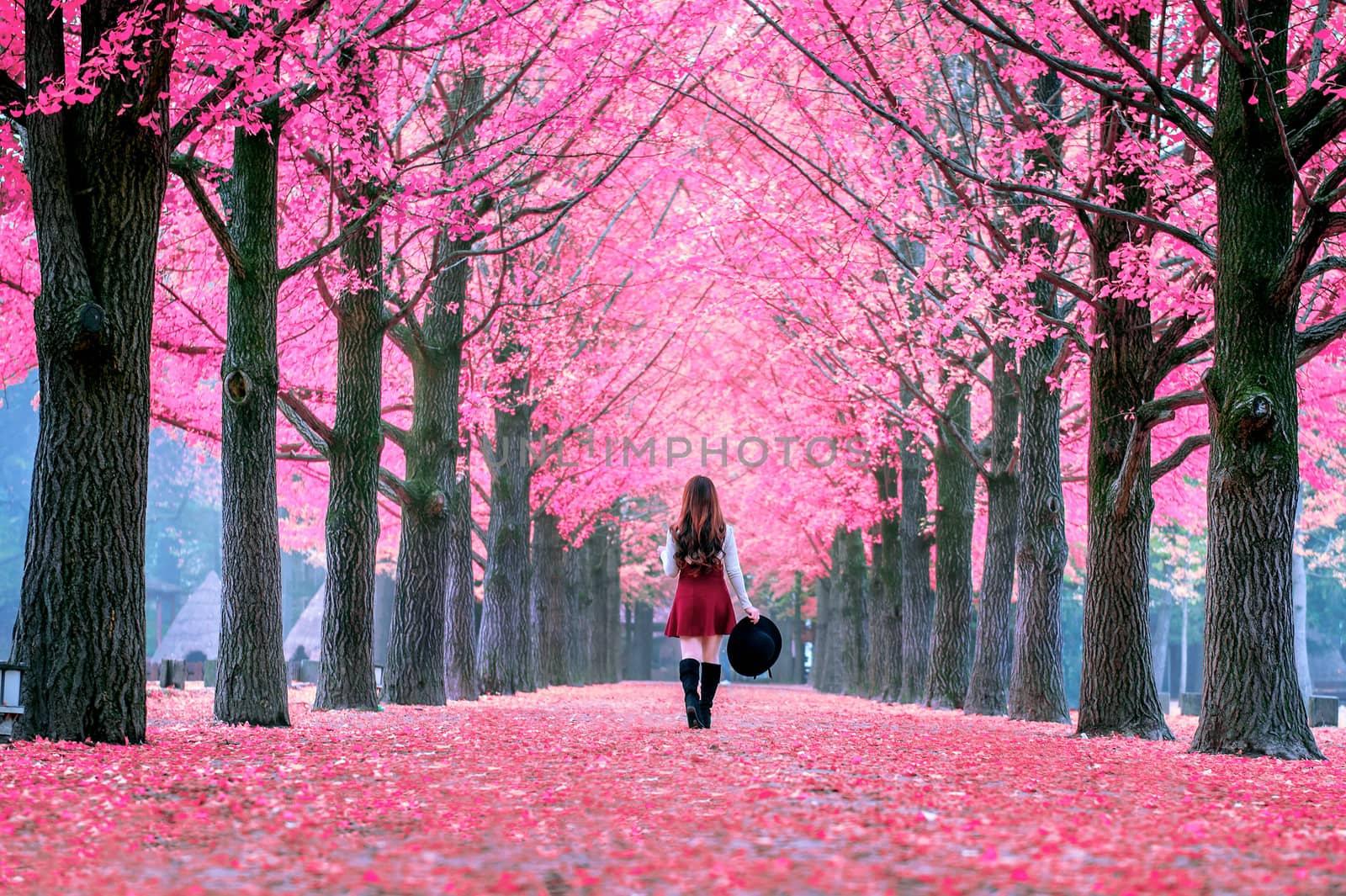 Beautiful Girl with Pink Leaves in Nami Island, South Korea. by gutarphotoghaphy