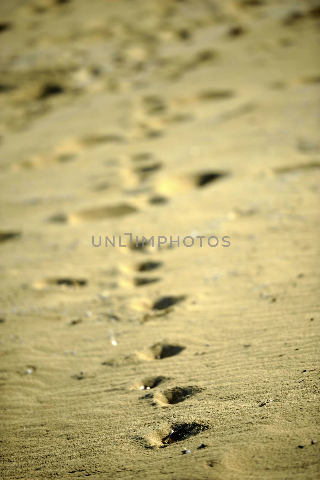 Sand on the beach on summer sunny day
