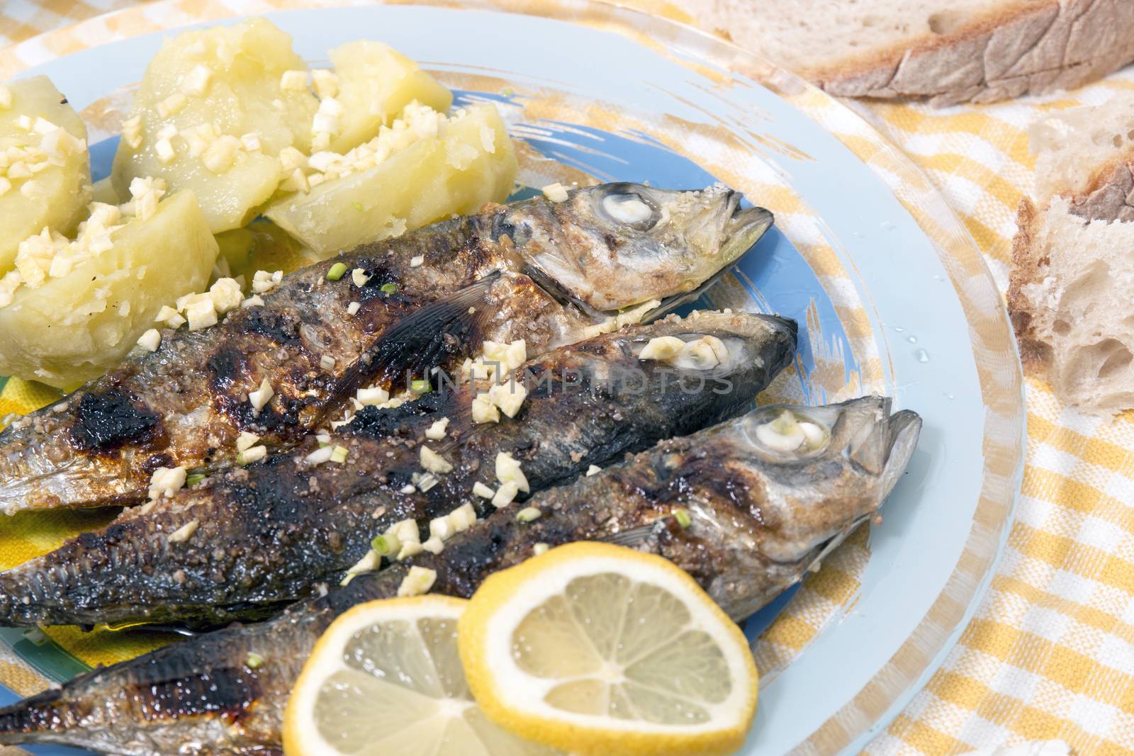 Grilled atlantic horse mackerel meal with potatoes.
