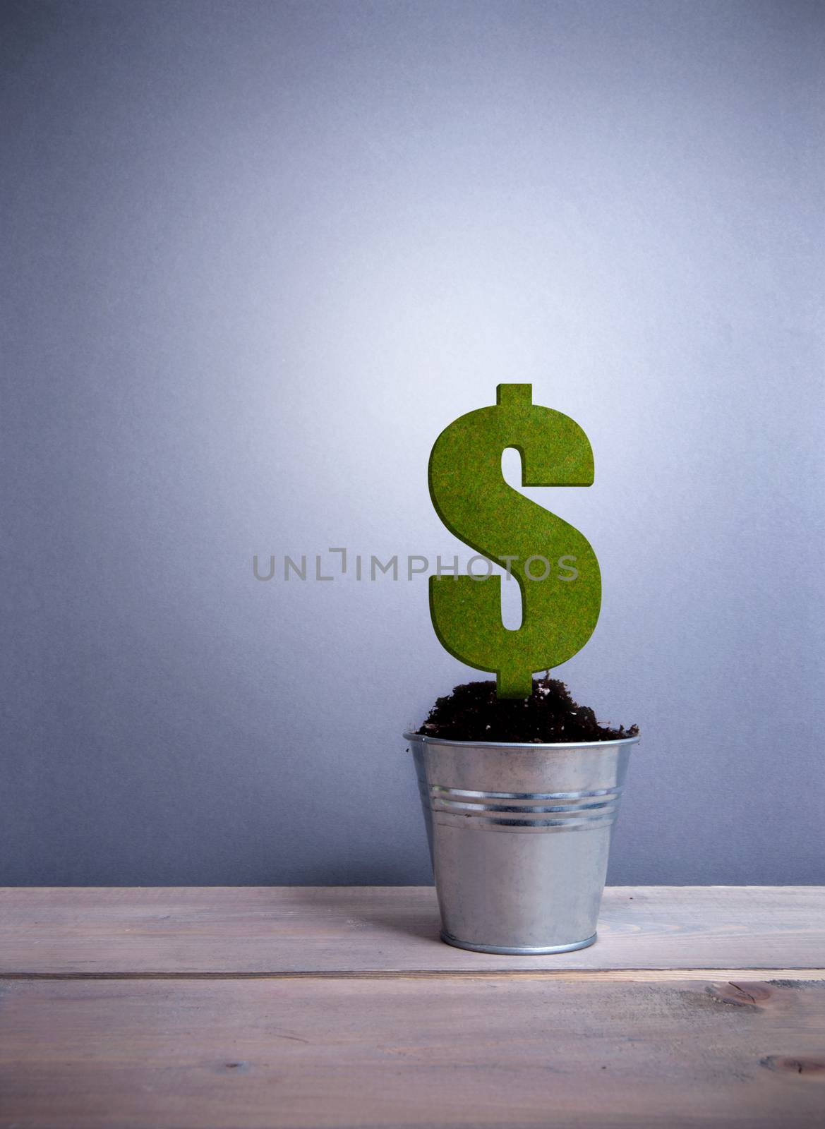 Green dollar sign plant  by unikpix