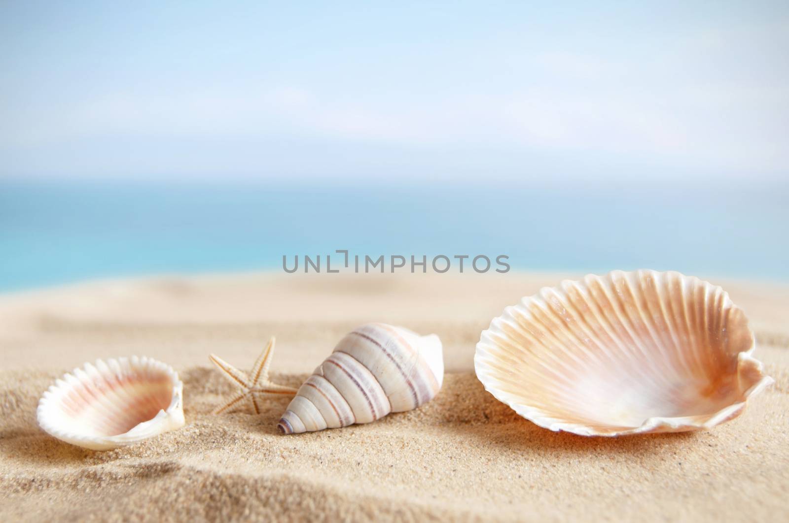 Beach sand  by unikpix