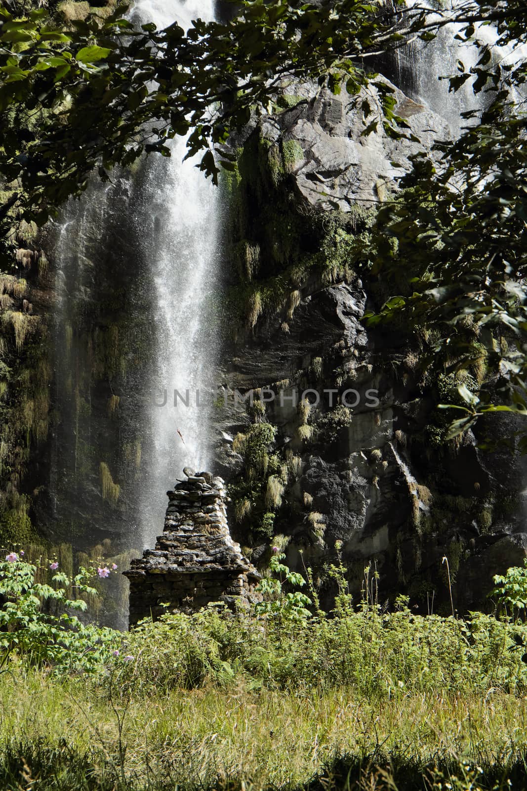 Waterfall in the mountains in Nepal among green plants by Antonshemiatikhin