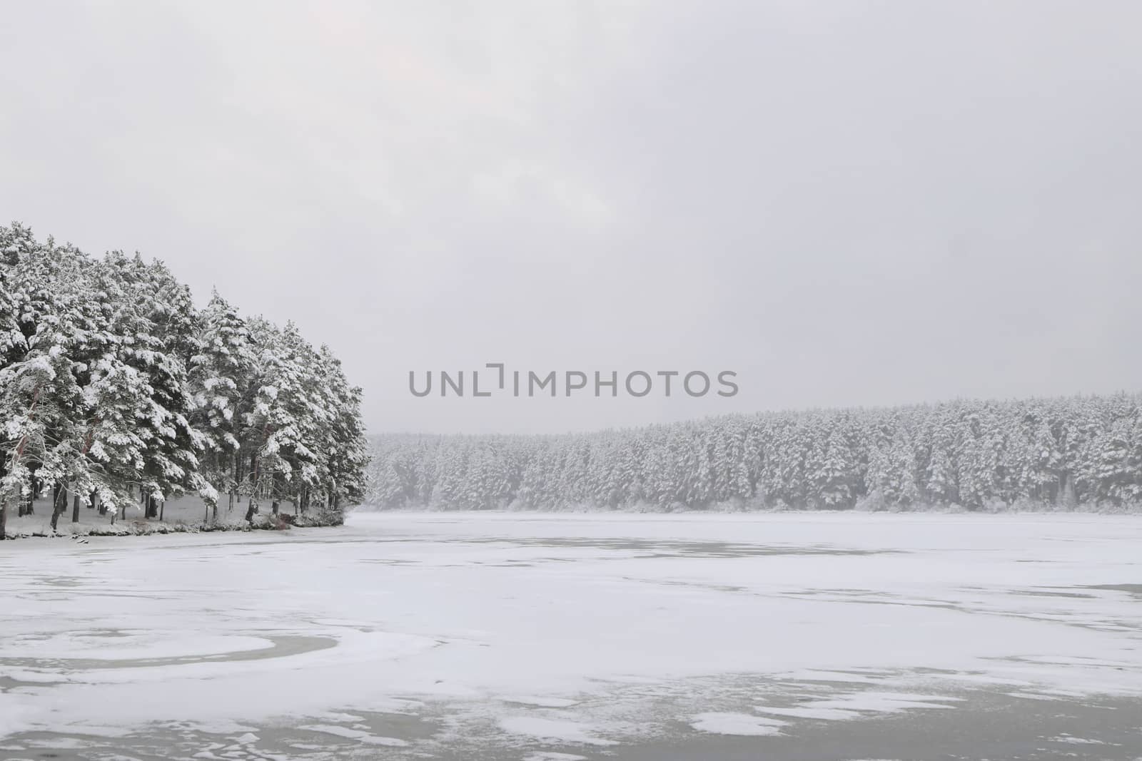 snowbound forest beyond the river by Antonshemiatikhin