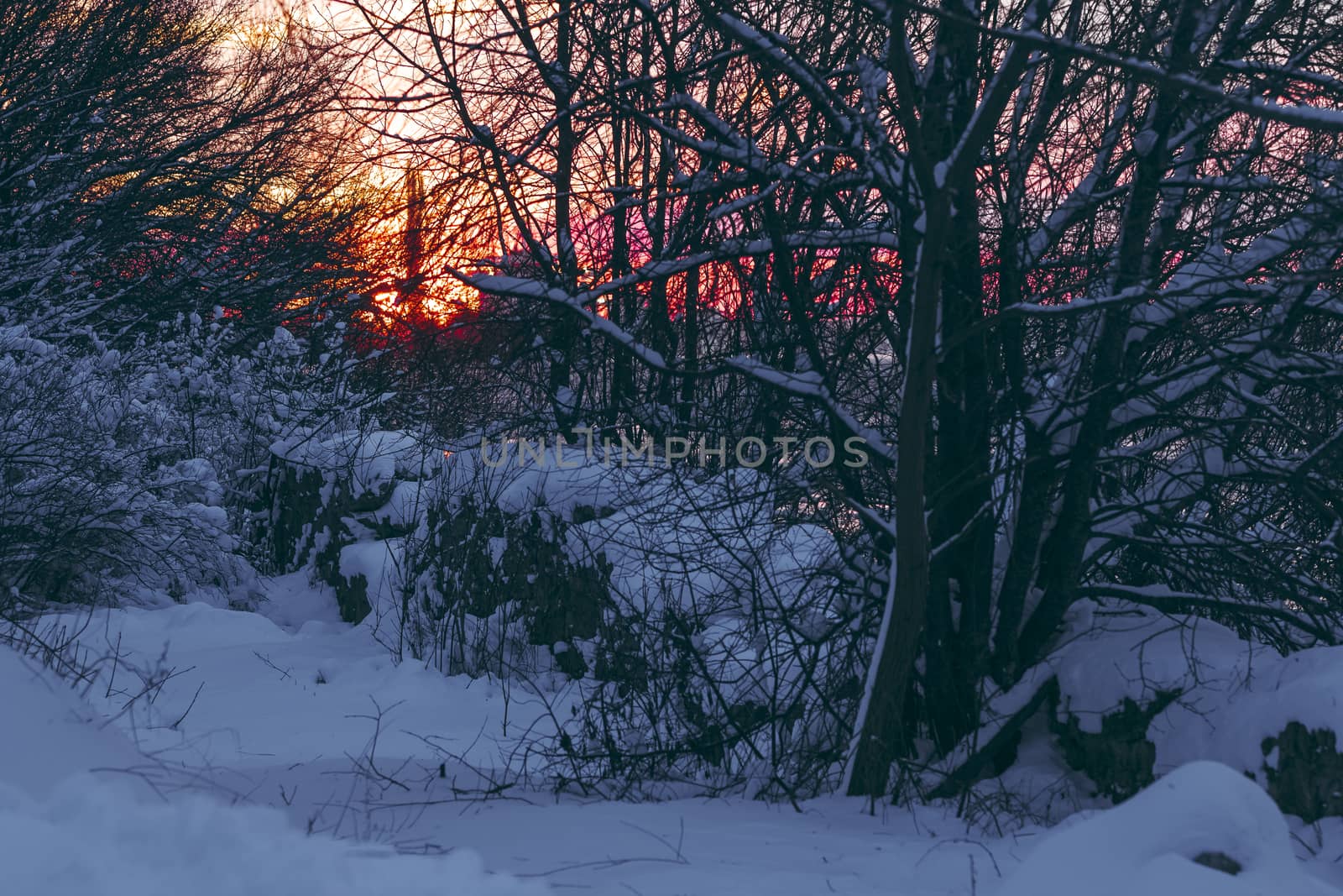 Colorful winter sunrise with purple and orange clouds