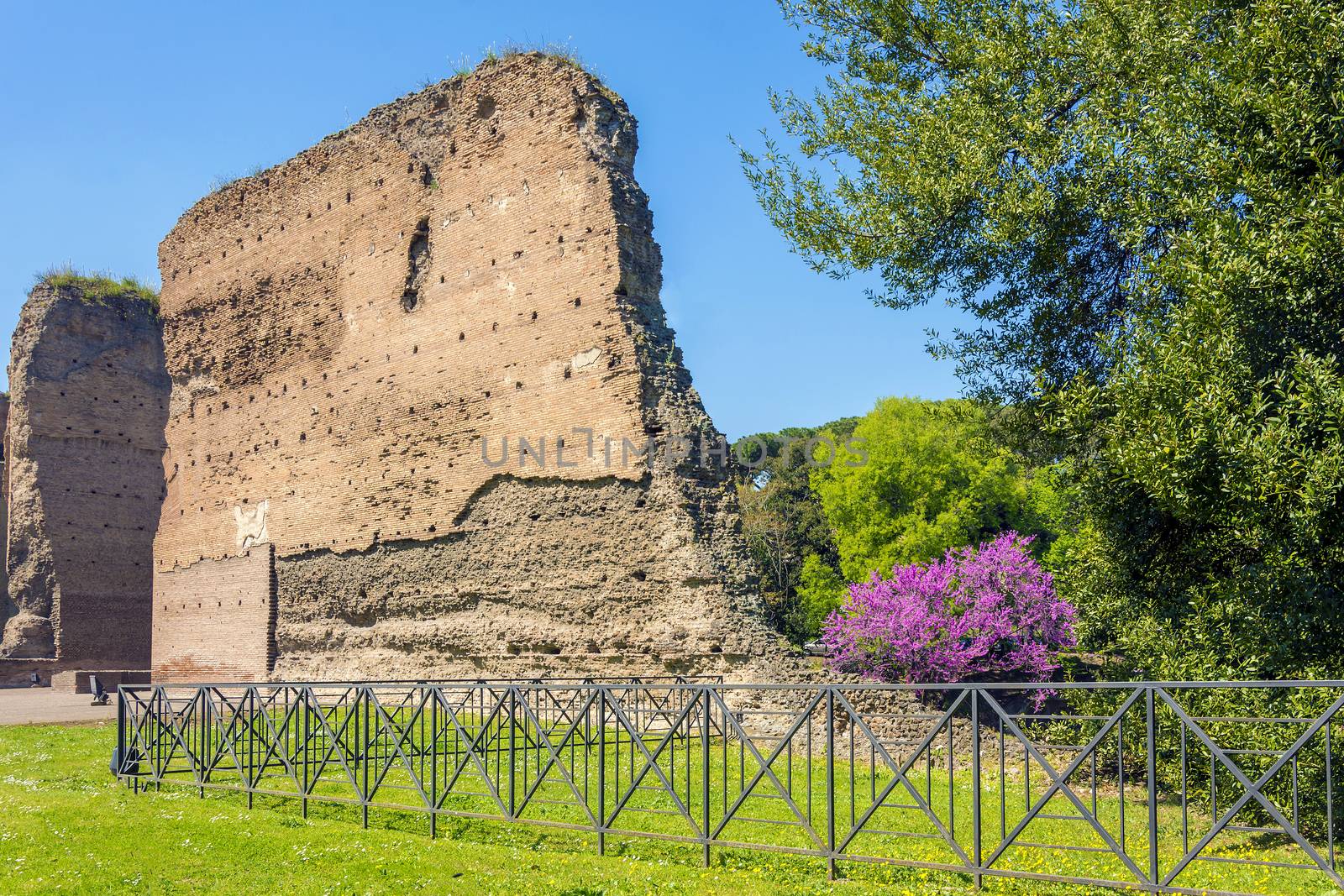 Baths of Caracalla, ancient ruins of roman public thermae built by Emperor Caracalla in Rome, Italy
