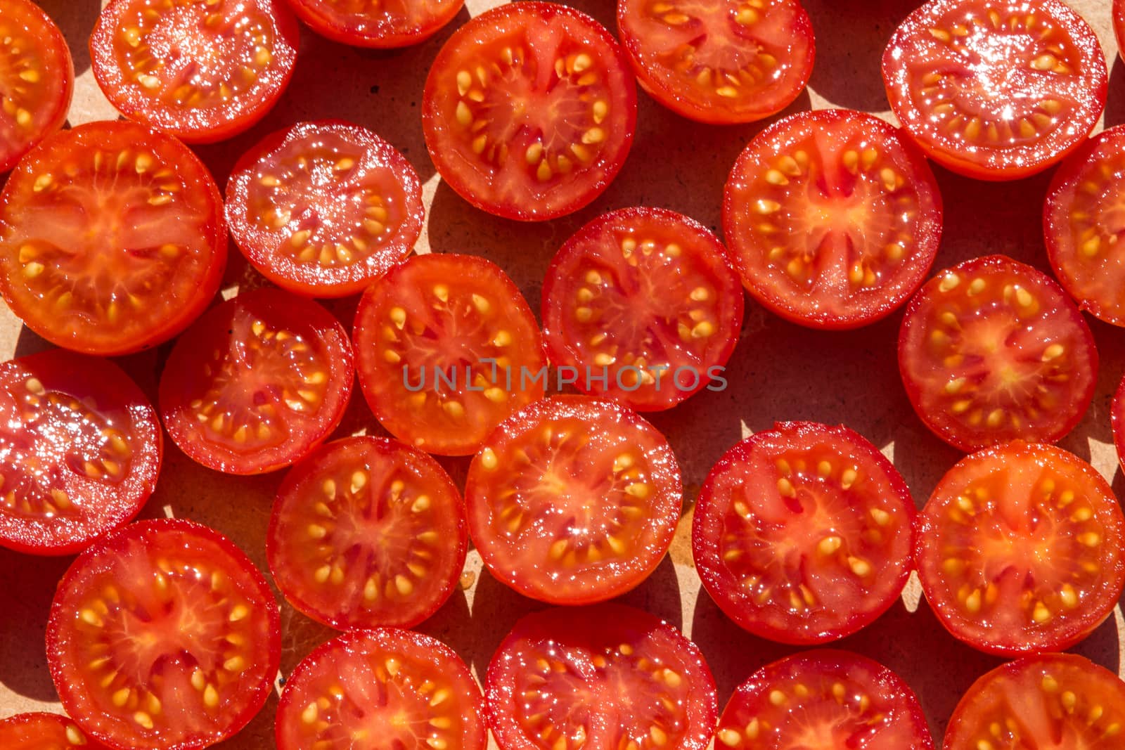 The Tomato fruit by alanstix64