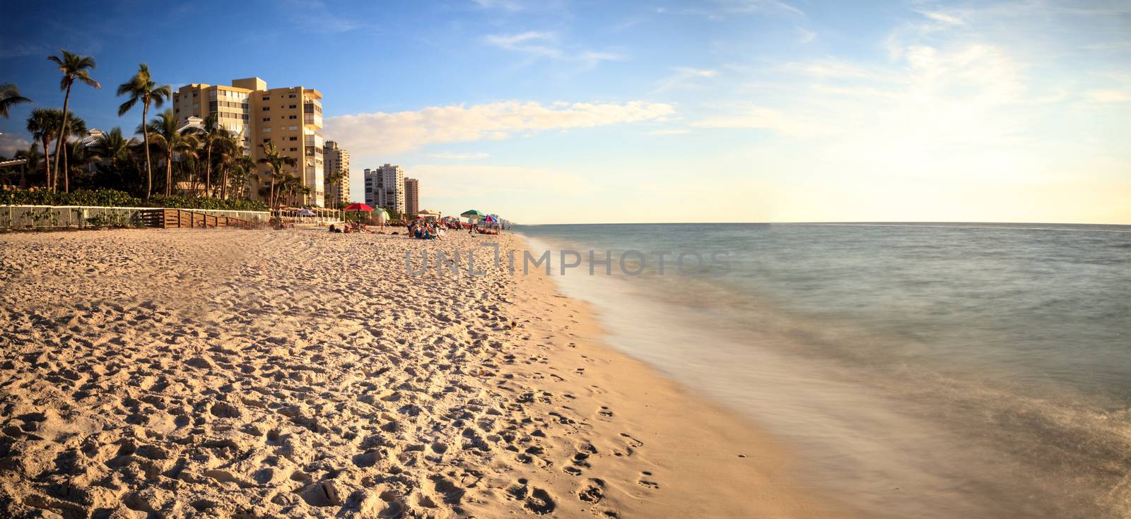 White sand and palm trees along Vanderbilt Beach in Naples, Florida, USA